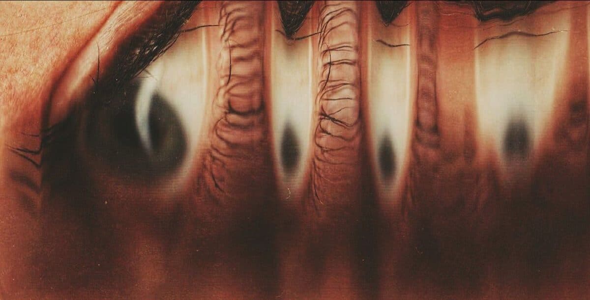 Devour