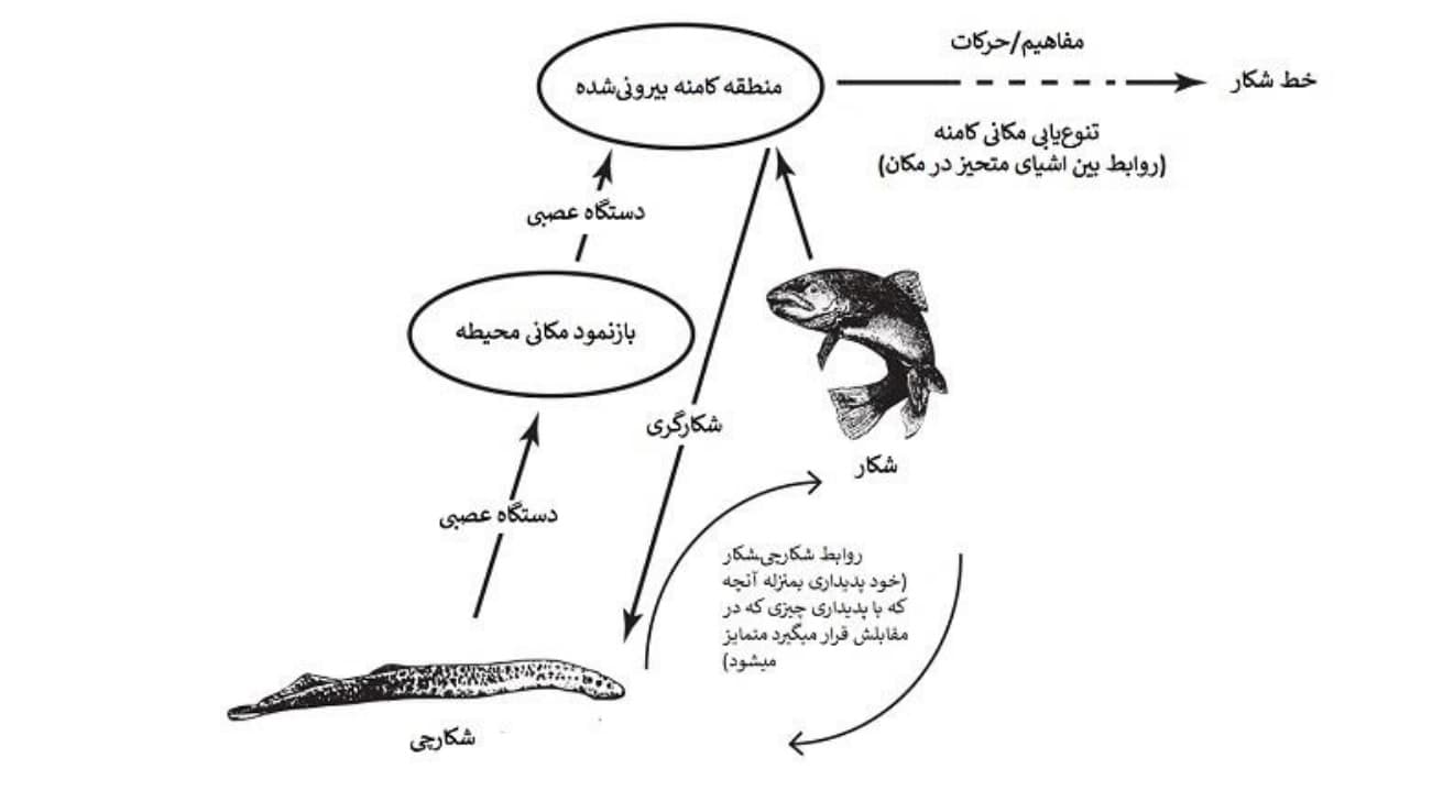 excerpt-image